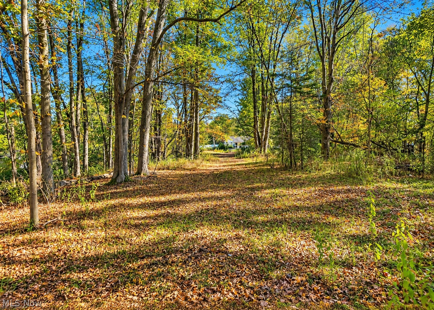 2111 Windsor-mechanicsville Road Rock Creek OH 44084