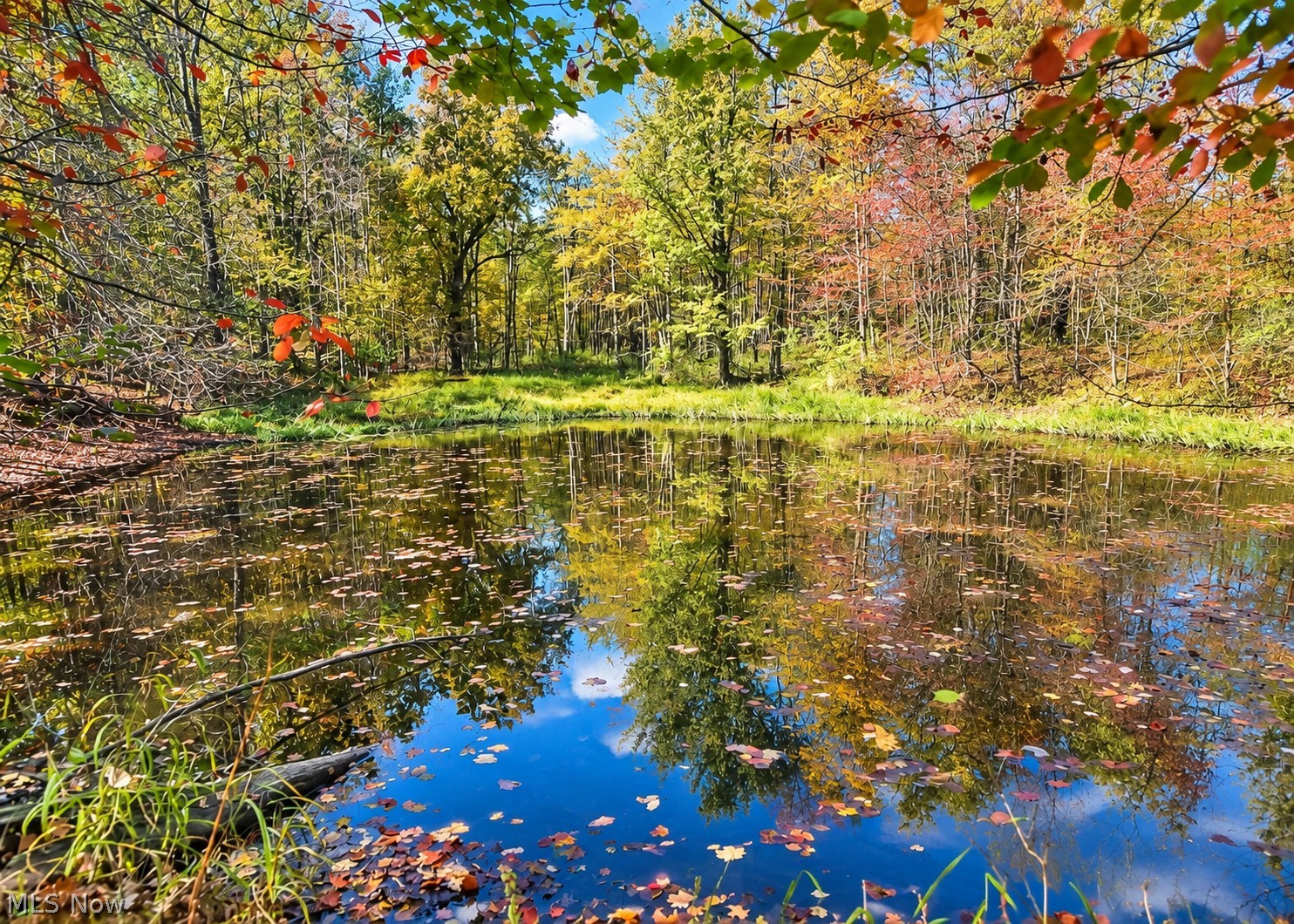 2111 Windsor-mechanicsville Road Rock Creek OH 44084