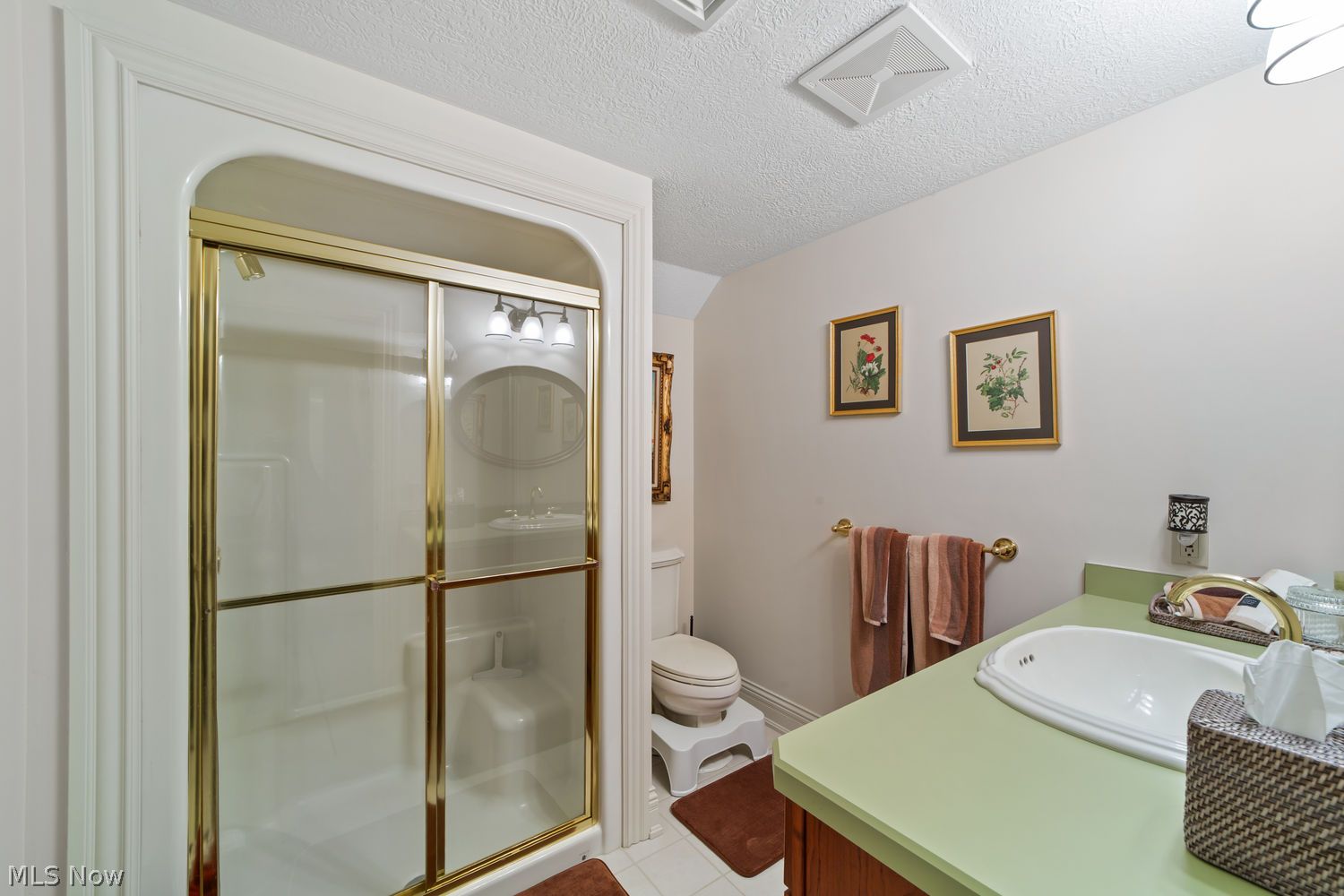 411 Stonebridge Drive Amherst OH 44001