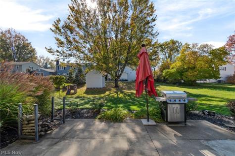 437 Farr Avenue Wadsworth OH 44281
