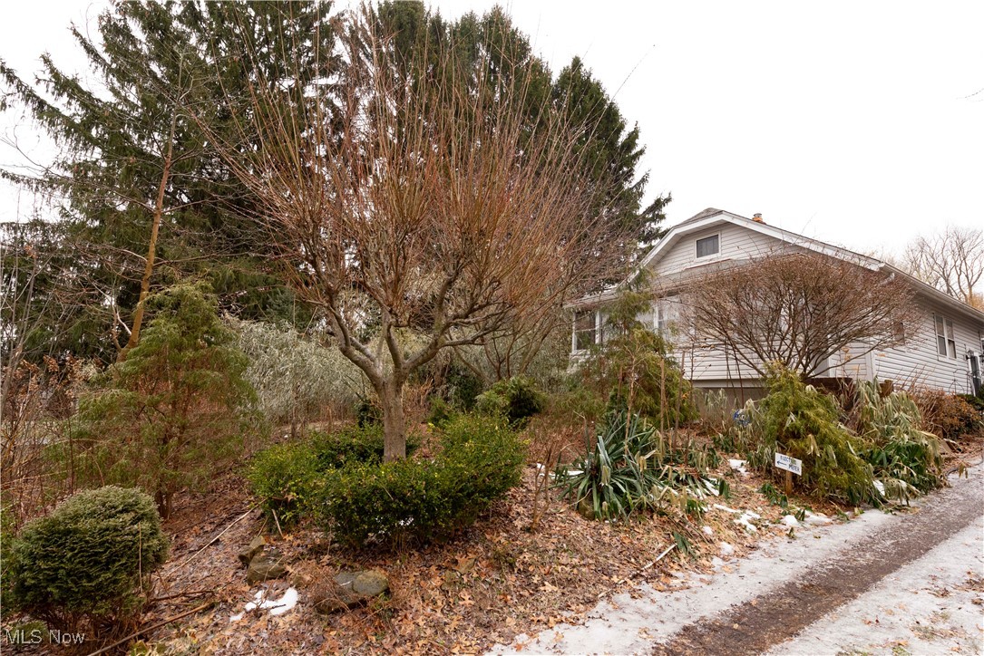 2336 Savoy Avenue Akron OH 44305