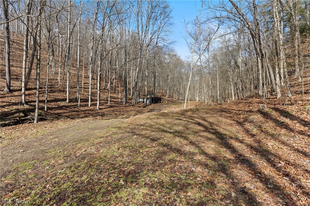 2994 State Route 524 Bergholz OH 43908