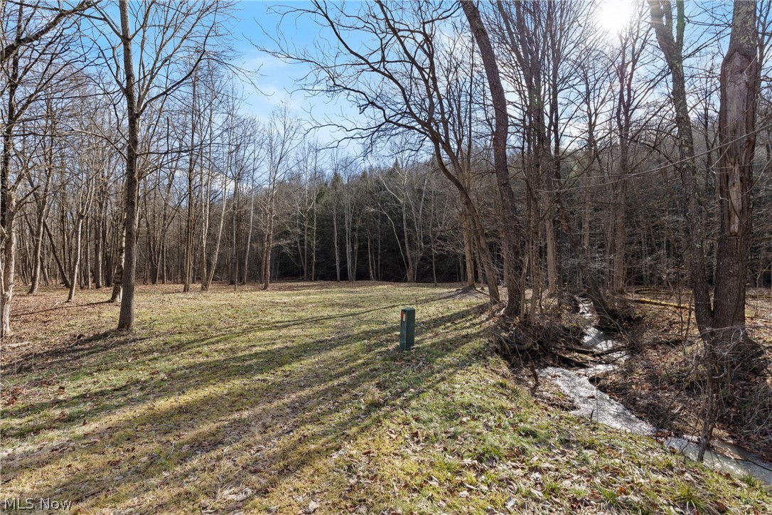 2994 State Route 524 Bergholz OH 43908