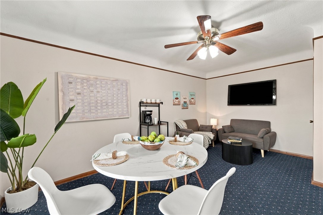 3397 Lotus Lane Seven Hills OH 44131