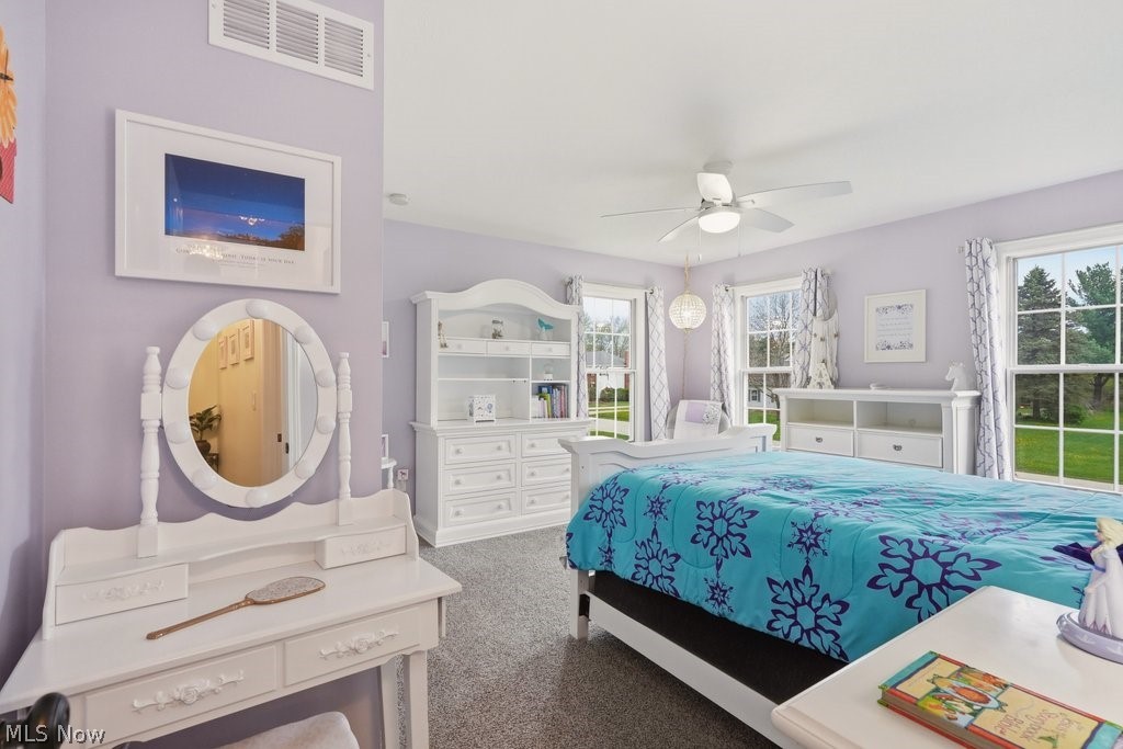 1936 Ashley Drive Hudson OH 44236