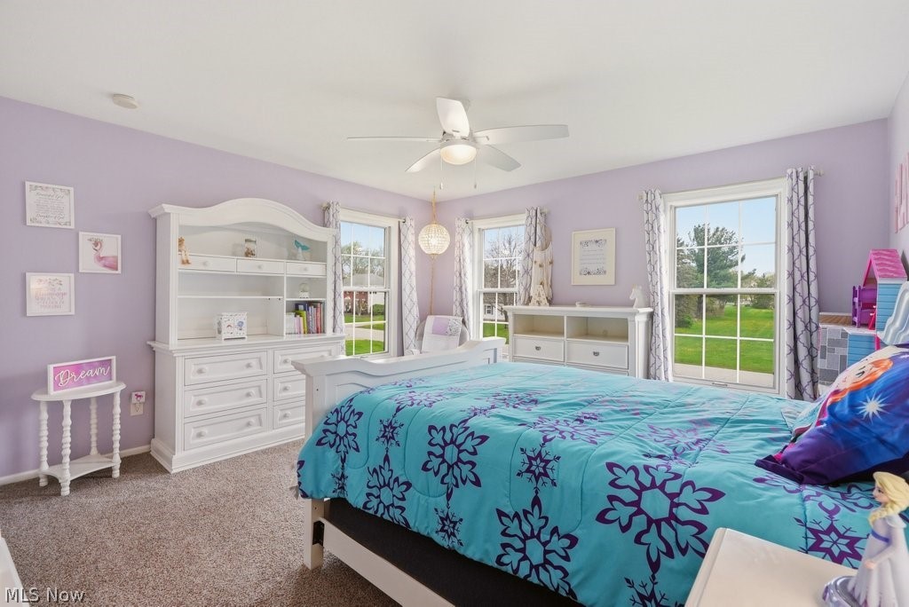 1936 Ashley Drive Hudson OH 44236