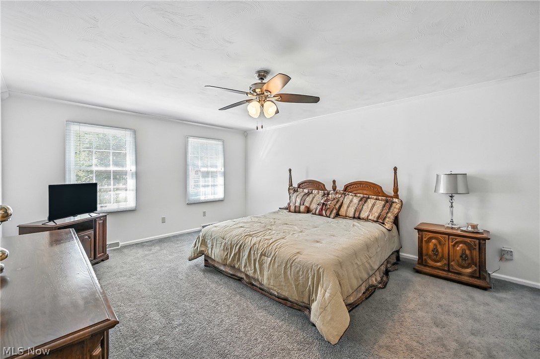 3682 Sperone Drive Canfield OH 44406