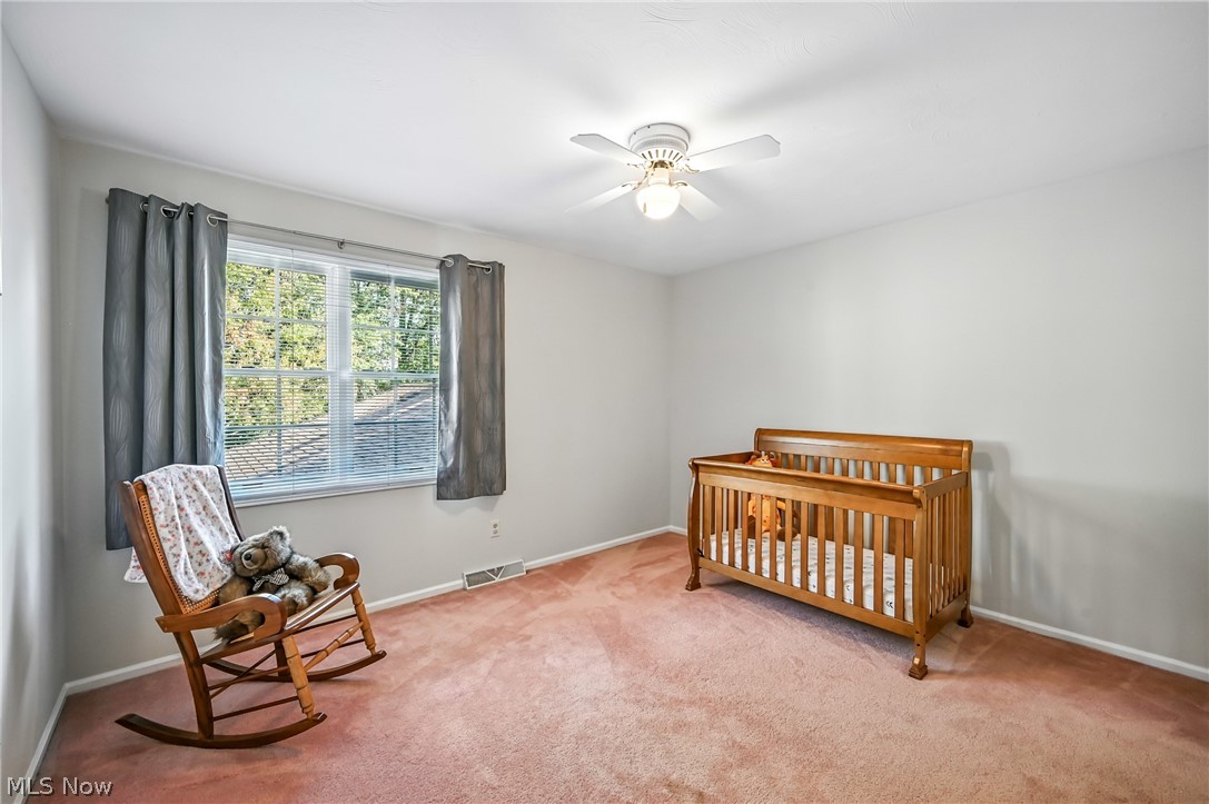 3682 Sperone Drive Canfield OH 44406