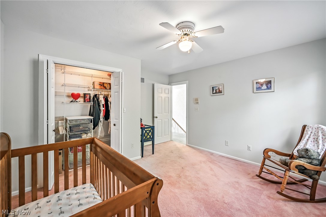3682 Sperone Drive Canfield OH 44406