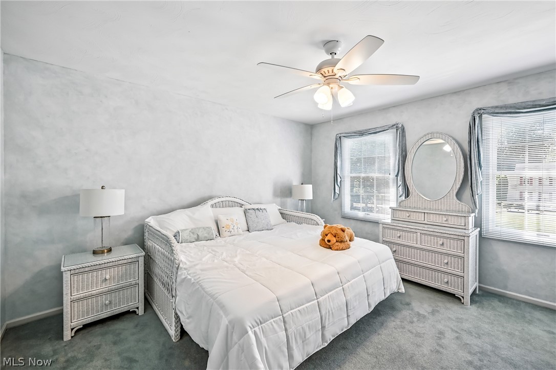 3682 Sperone Drive Canfield OH 44406