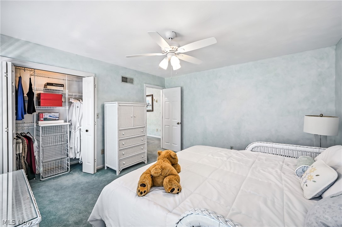 3682 Sperone Drive Canfield OH 44406