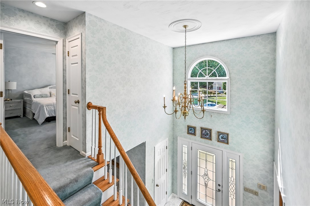 3682 Sperone Drive Canfield OH 44406
