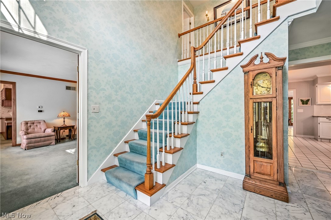 3682 Sperone Drive Canfield OH 44406