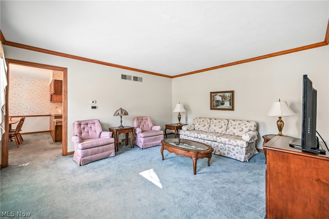 3682 Sperone Drive Canfield OH 44406