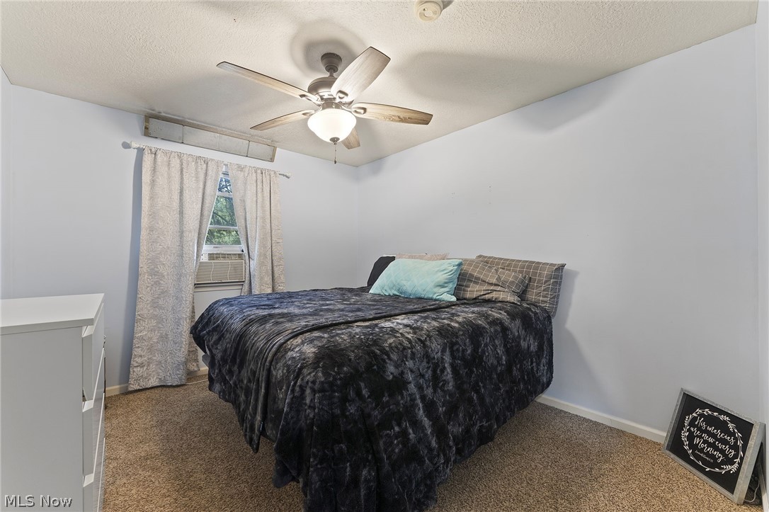4278 Dudley Road Mantua OH 44255