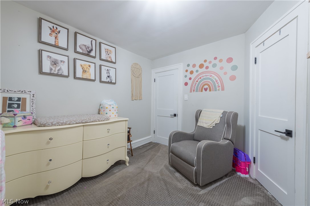 1225 Gladys Avenue Lakewood OH 44107