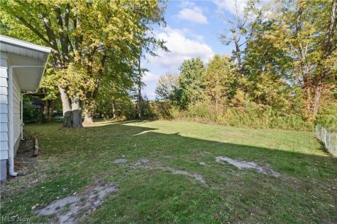 6459 Clearair Drive Mentor OH 44060