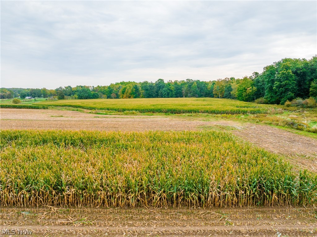 5070 State Route 167 W Pierpont OH 44082