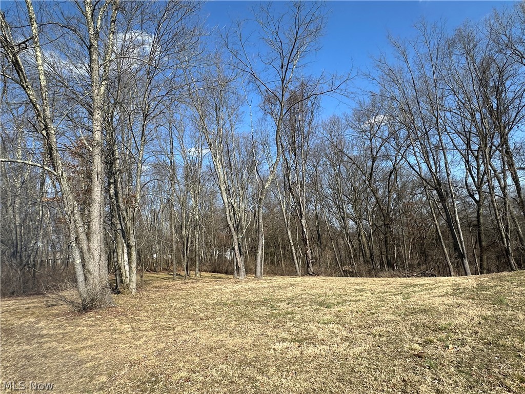 9188 S Yuma Trail Negley OH 44441