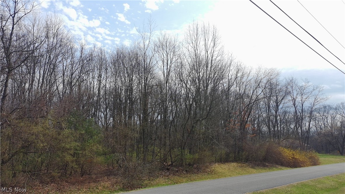 9188 S Yuma Trail Negley OH 44441