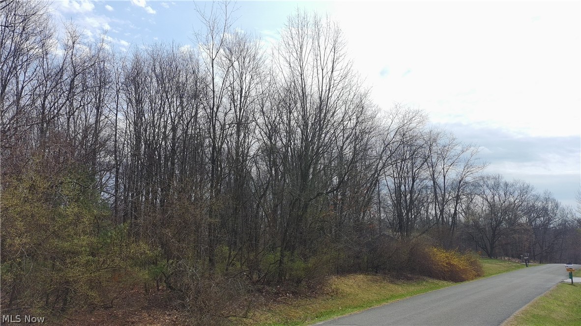 9188 S Yuma Trail Negley OH 44441