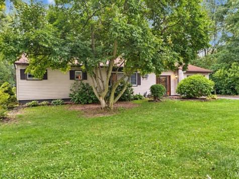 10208 Johnnycake Rdg Road Painesville OH 44077
