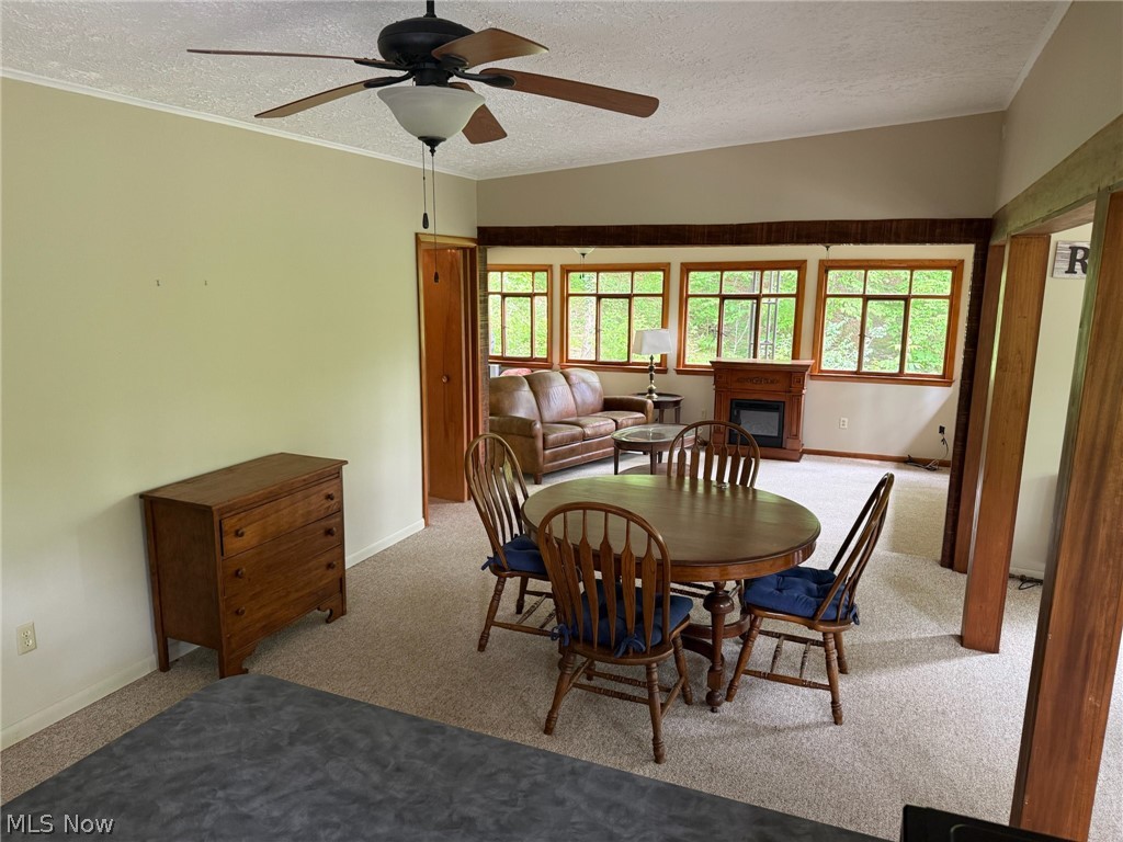 6090 Revere Road SW Bowerston OH 44695