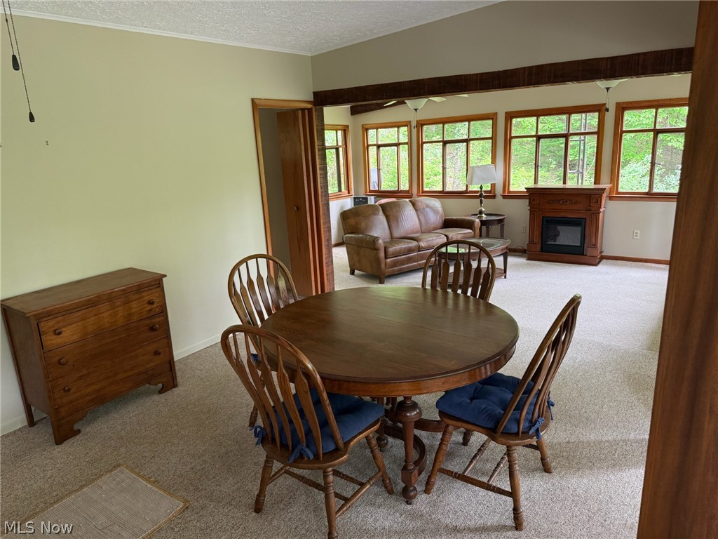 6090 Revere Road SW Bowerston OH 44695