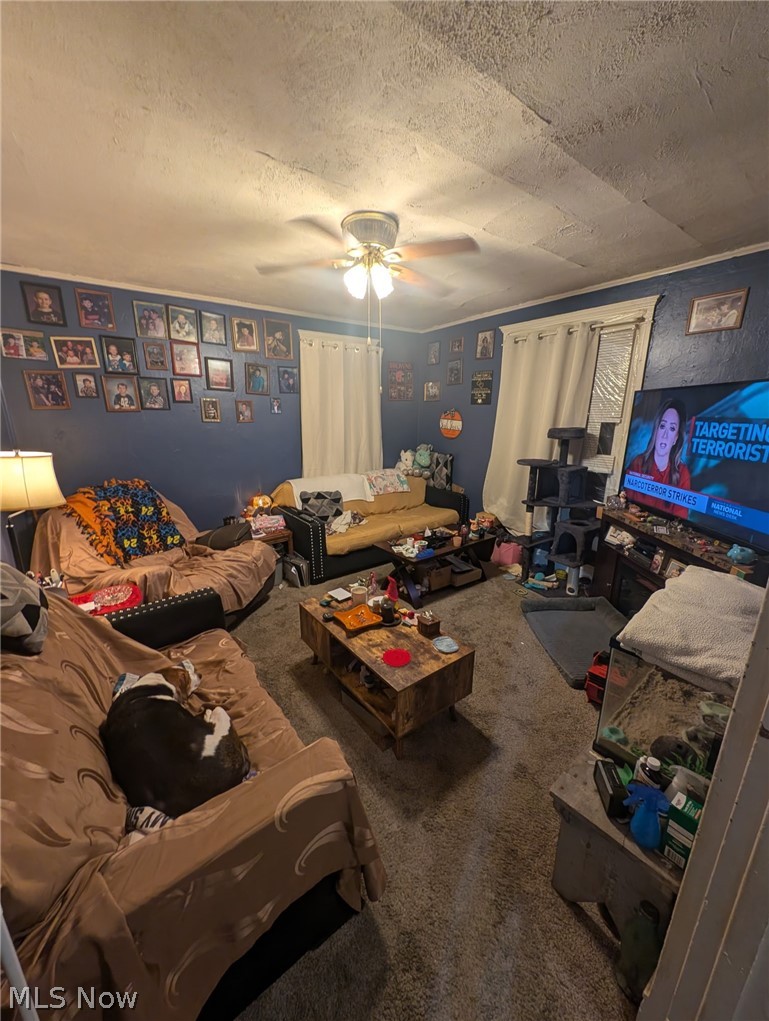 433 S 7th Street Coshocton OH 43812