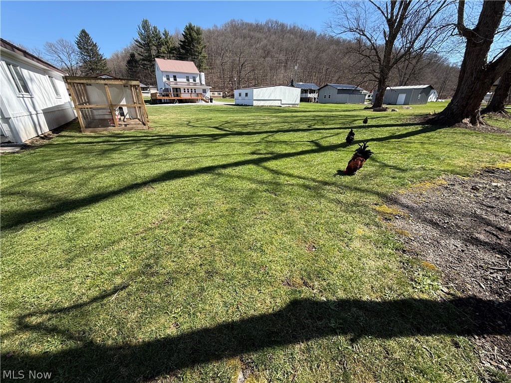 11820 State Route 43 Amsterdam OH 43903
