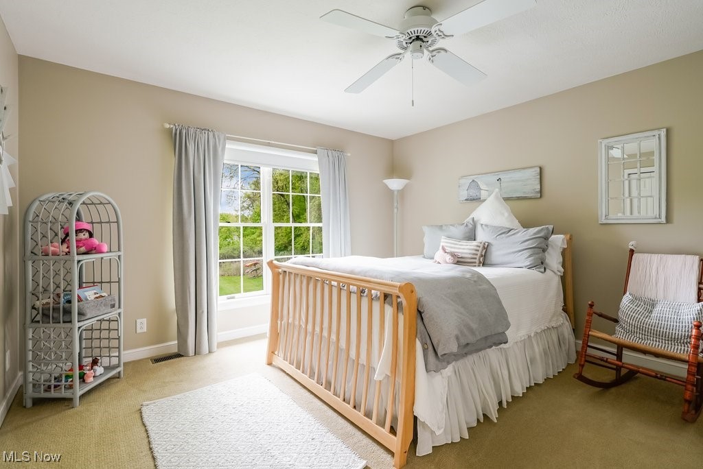 196 Lake Front Drive Akron OH 44319