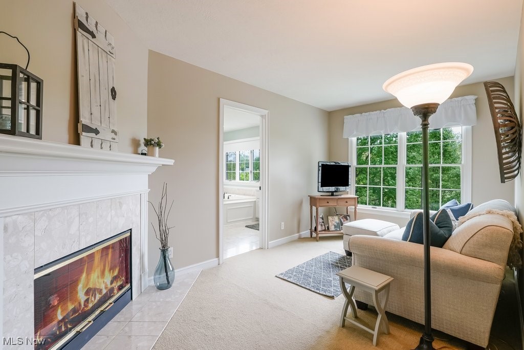 196 Lake Front Drive Akron OH 44319