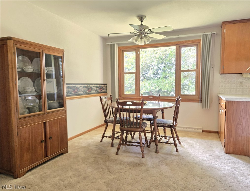116 Hawthorne Avenue Rittman OH 44270