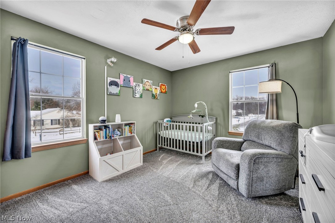 27 Kenilworth Avenue Painesville OH 44077