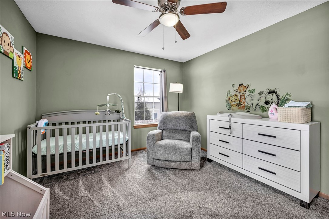 27 Kenilworth Avenue Painesville OH 44077
