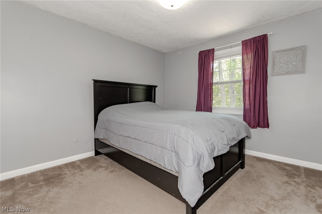 8550 Sharp Lane Chesterland OH 44026