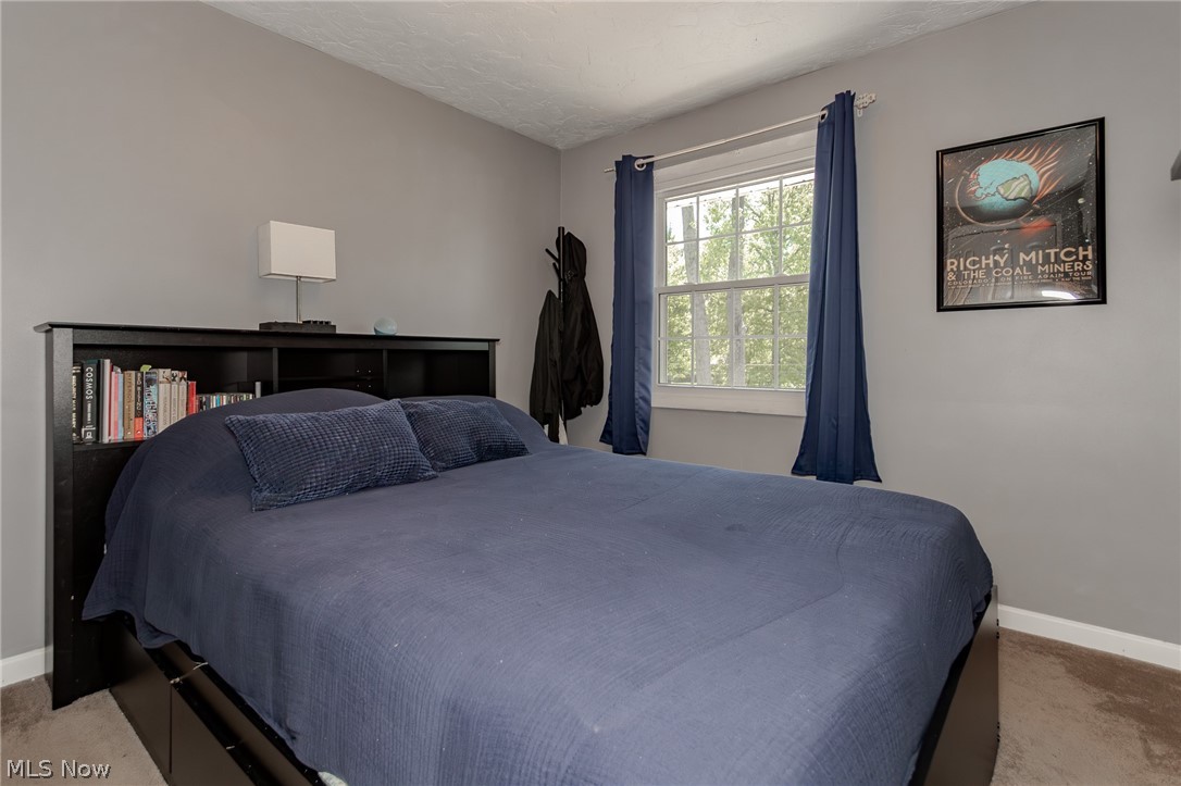 8550 Sharp Lane Chesterland OH 44026