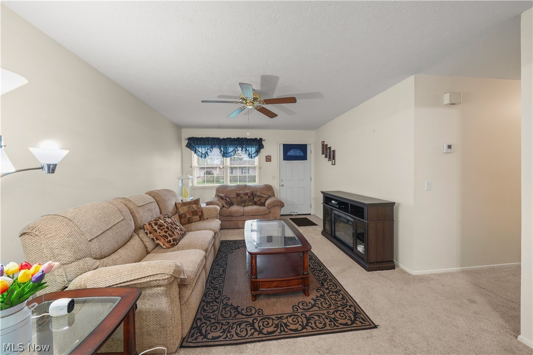 9841 Green Drive Windham OH 44288