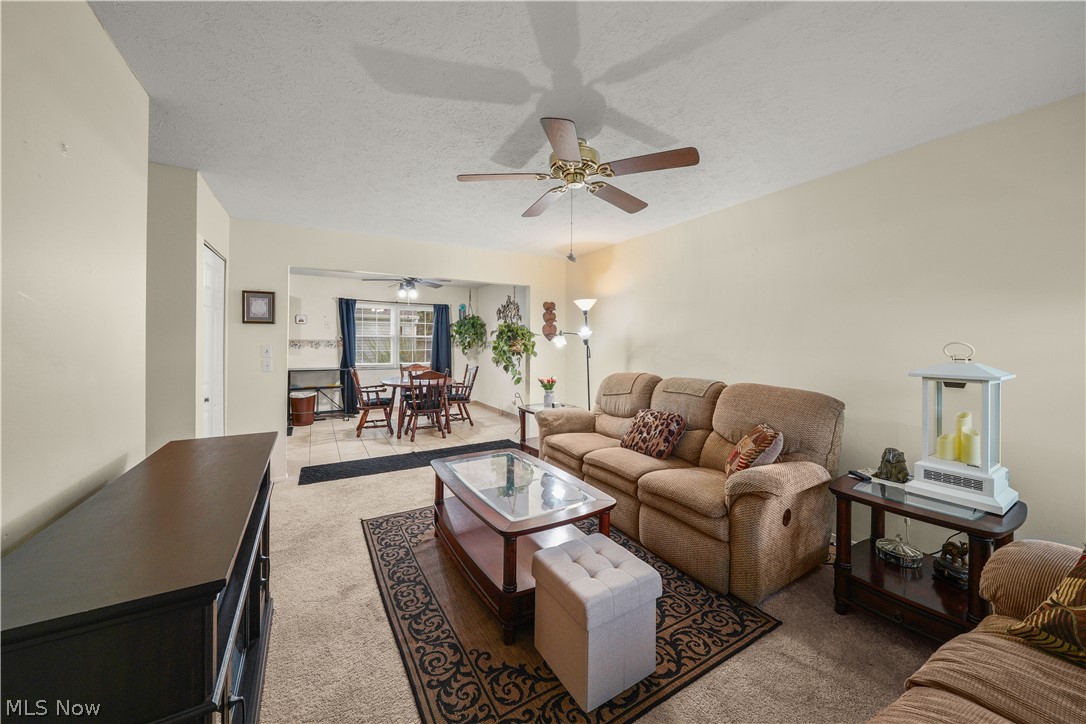 9841 Green Drive Windham OH 44288