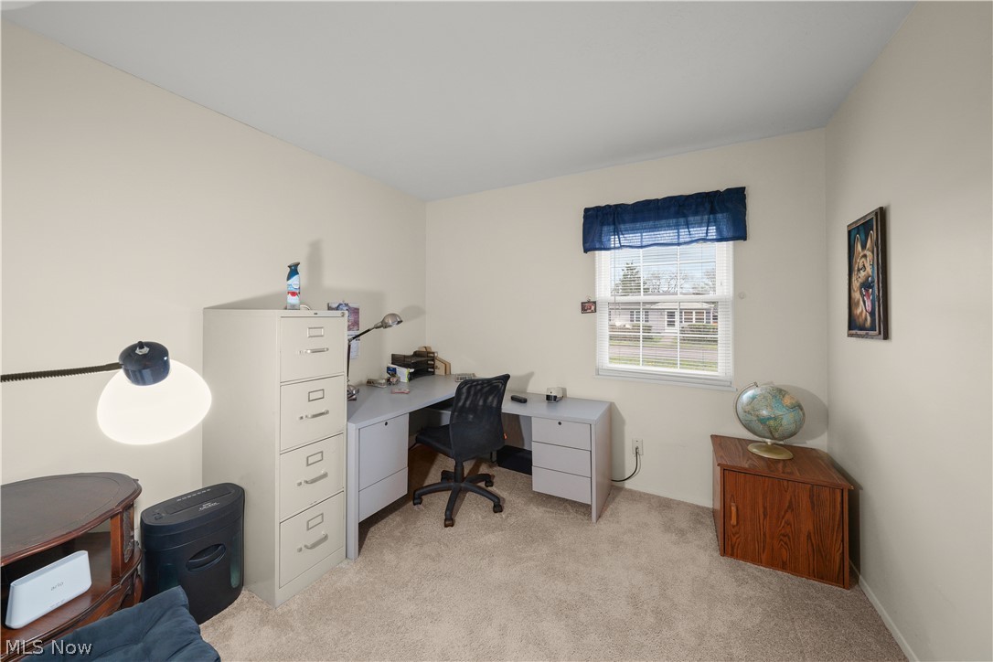 9841 Green Drive Windham OH 44288