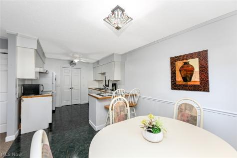 1169 Kirkwall Drive Copley OH 44321