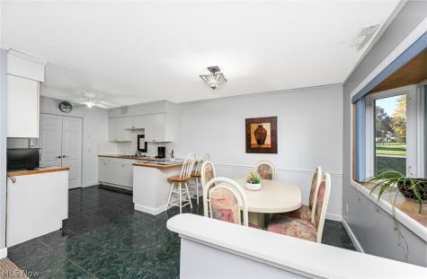 1169 Kirkwall Drive Copley OH 44321