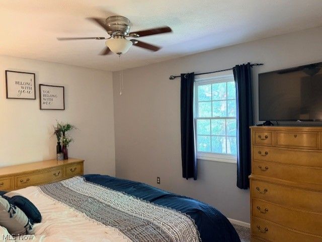 14777 Wilmington Drive Strongsville OH 44136