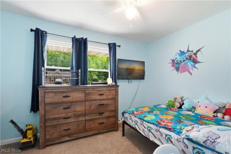 47 Edgewood Drive Grafton OH 44044