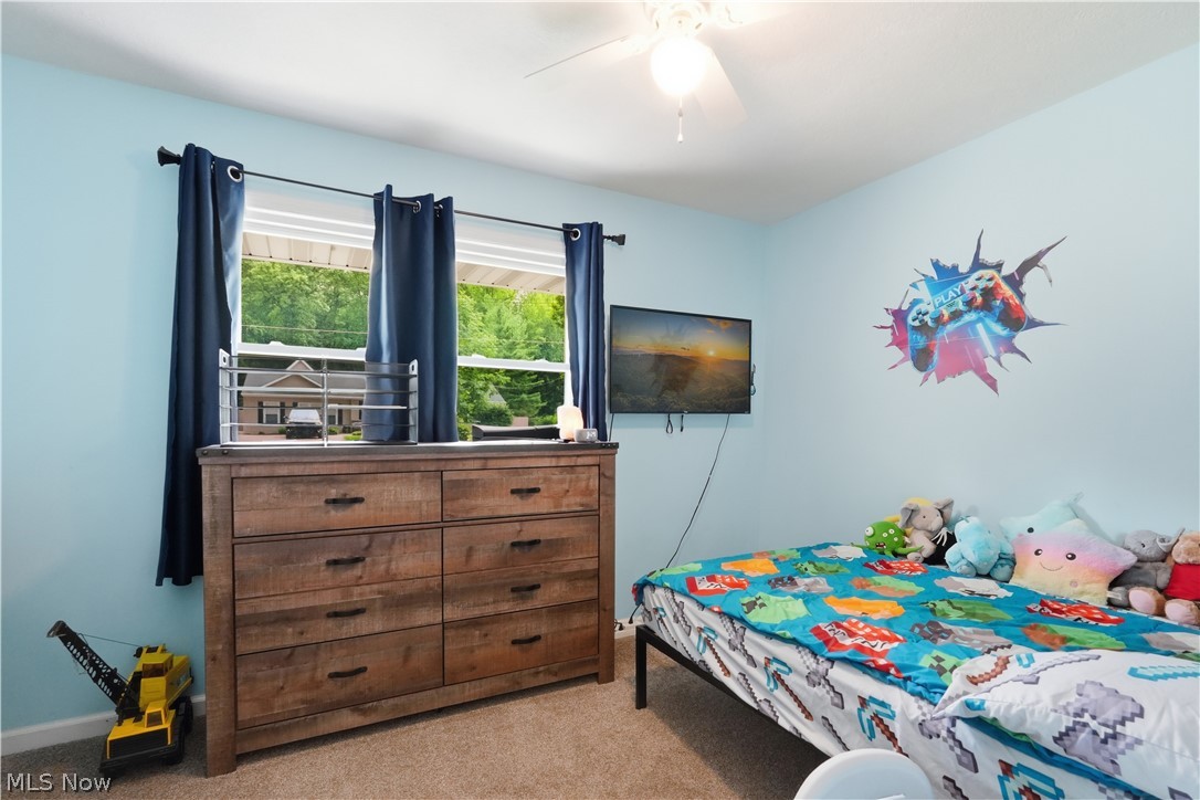 47 Edgewood Drive Grafton OH 44044