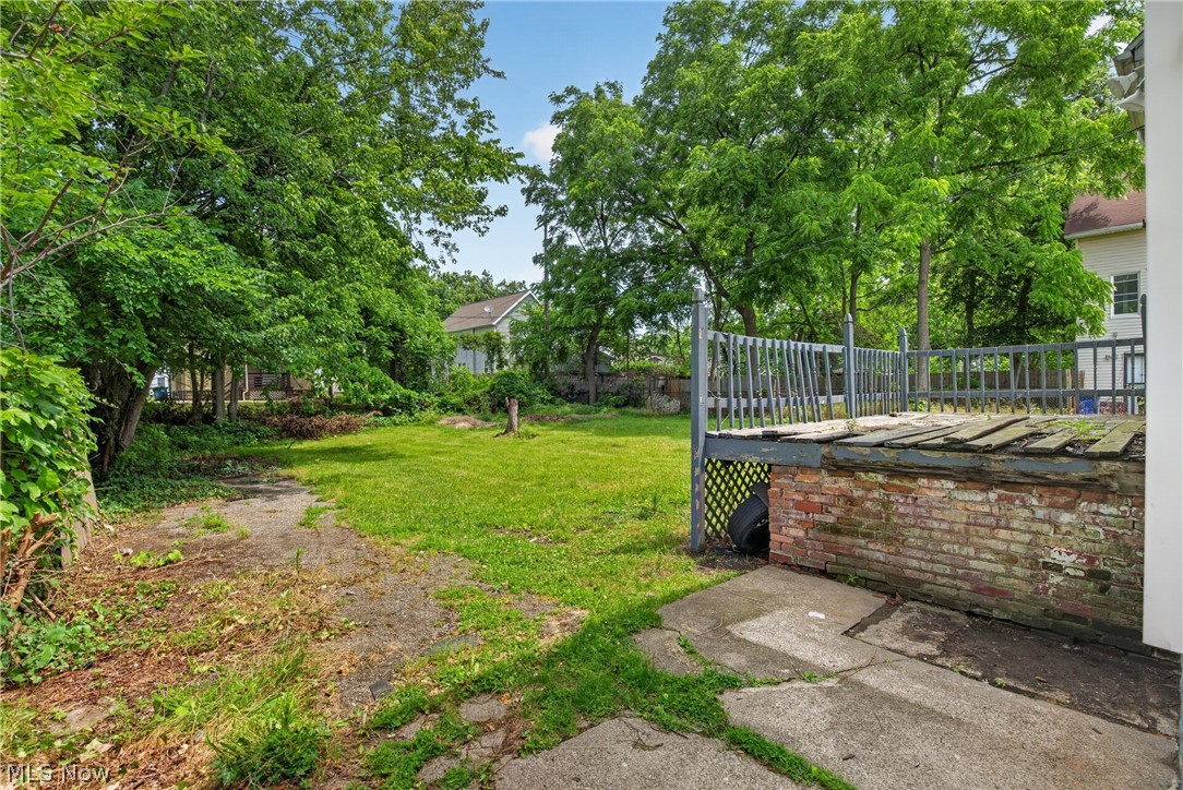 11817 Forest Avenue Cleveland OH 44120