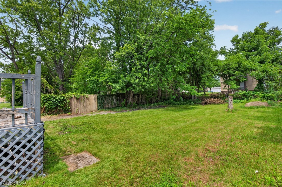 11817 Forest Avenue Cleveland OH 44120