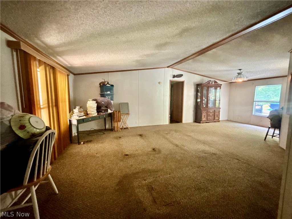 9231 Horn Road Windham OH 44288