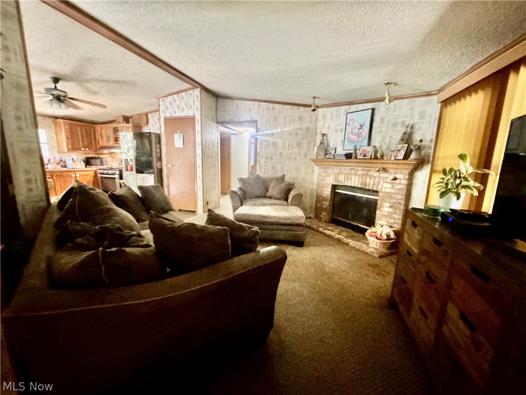9231 Horn Road Windham OH 44288