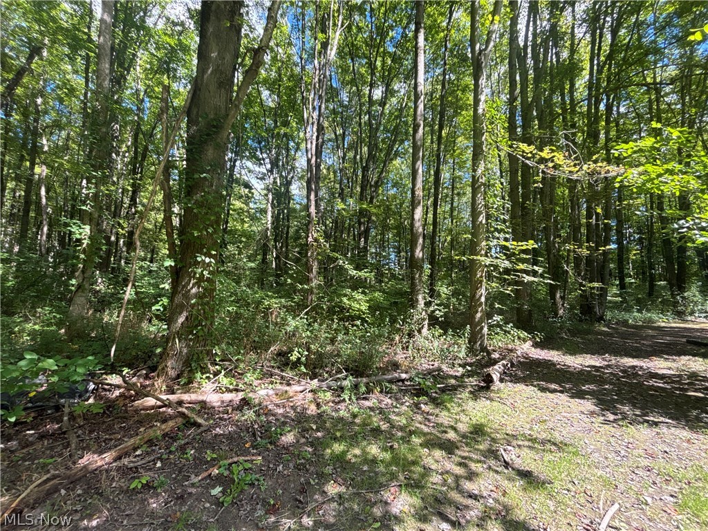 9231 Horn Road Windham OH 44288